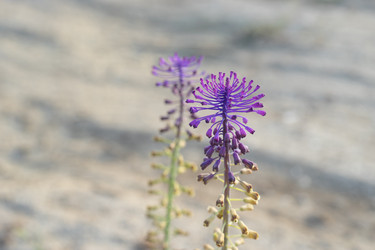 Similar image 21282546