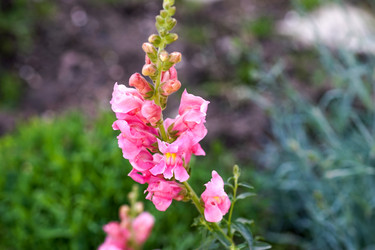 Similar image 21282547