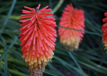 Similar image 21282553