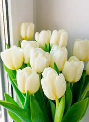 Similar image 21285896