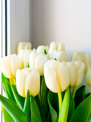 Similar image 21285898