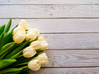 Similar image 21285905