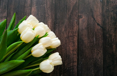 Similar image 21285906