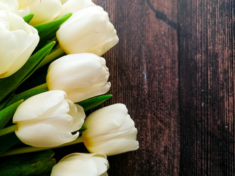 Similar image 21285907