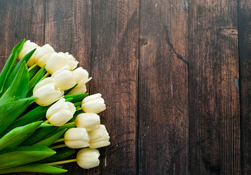 Similar image 21285909