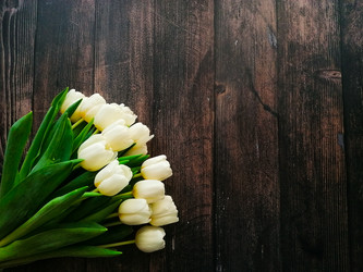 Similar image 21285910