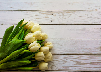 Similar image 21285911