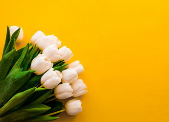 Similar image 21285912