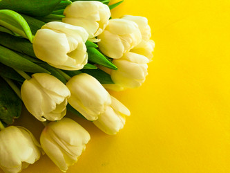 Similar image 21285913