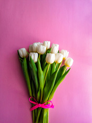 Similar image 21285914