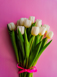 Similar image 21285915