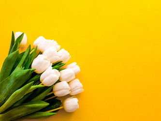 Similar image 21285916