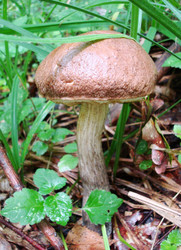 Similar image 21291026