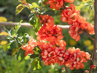 Similar image 21282557