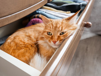 Similar image 21282561