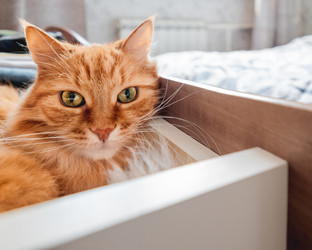 Similar image 21282562