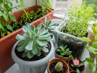 Similar image 21282564