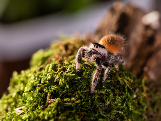 Similar image 21283938