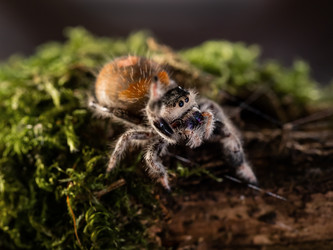 Similar image 21282569