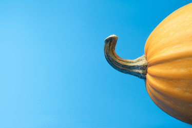 Similar image 21283799