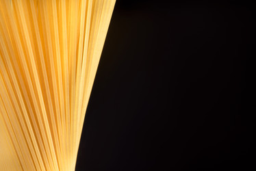 Similar image 21283801