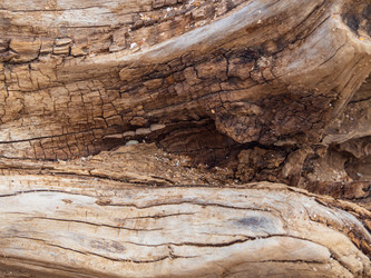 Similar image 21285586