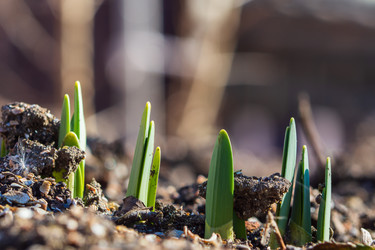 Similar image 21285593