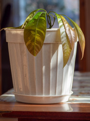 Similar image 21285595