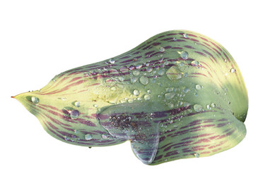 Similar image 21285598