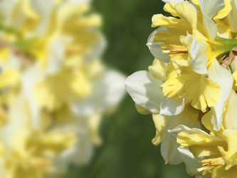 Similar image 21285599