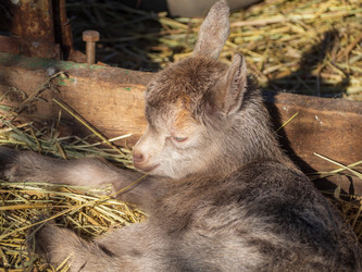 Similar image 21285600