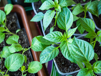 Similar image 21285601