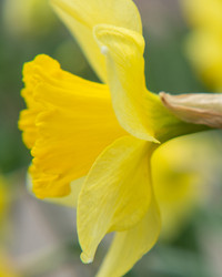 Similar image 21285603