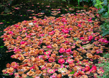 Similar image 21289906