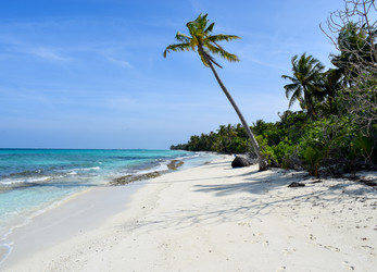 Similar image 21289908