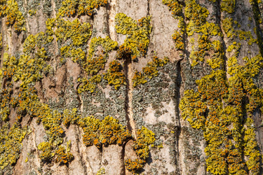 Similar image 21285605