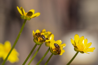 Similar image 21285611