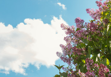 Similar image 21283856