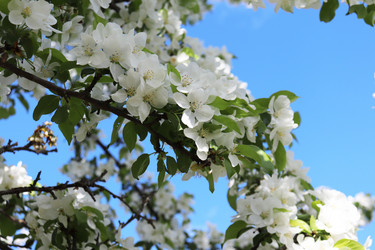 Similar image 21283868