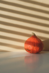 Similar image 21283962