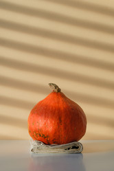 Similar image 21283964