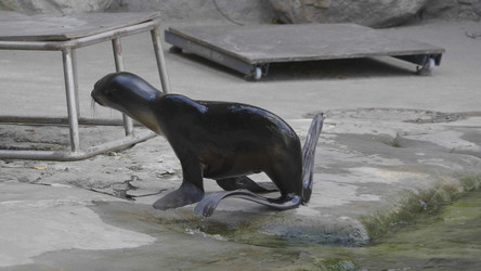 Similar image 21287590