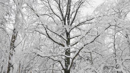 Similar image 21287592