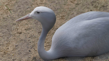 Similar image 21287596