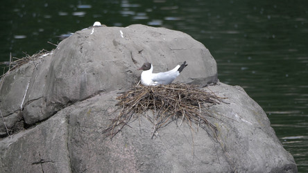 Similar image 21287599