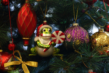 Similar image 21283821