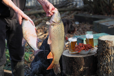 Similar image 21283977