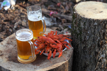 Similar image 21283980