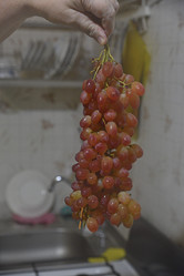 Similar image 21289232