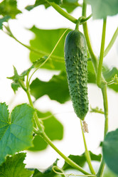 Similar image 21285174